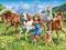 Puzzle 120 el. Castorland On a Meadow