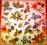 Serwetki do decoupage-2szt-JESIEŃ-RÓŻNE WZORY