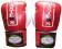 Rękawice bokserskie PRO FIGHT MASTERS __ 10oz