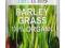 MŁODY JĘCZMIEŃ zielony w proszku / proszek