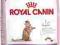 ROYAL CANIN KITTEN STERILISED - 2kg.