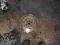 fiat doblo 1,6MJET 1,6 M-JET kolo dwumasowe dwumas