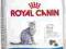 ROYAL CANIN INDOOR - 2kg.