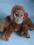 MAŁPKA MAŁPA MASKOTKA KEEL TOYS  CHARYTATYWNA