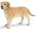 Schleich 16386 Labrador - KRAKÓW