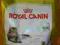 karma dla kota ROYAL CANIN Maine Coon 31 2kg