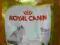 karma dla kota ROYAL CANIN Ragdoll 2kg NOWOŚĆ!!!!