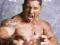 WWE Wrestling Batista - plakat 40x50 cm