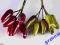 WYPRZEDAŻ-30% MINI papryka CHILI  6szt/dł2cm