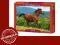 Puzzle Castorland REDDISH-BROWN HORSE 1000 el.