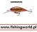 WOBLER BASS D- czerwony chrom (5,5cm/9g) CORMORAN