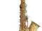 STAGG 77-SA saksofon altowy Eb + Futerał ABS