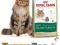 Royal Canin Maine Coon 31 Adult - 4 kg