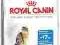 Royal Canin Light 40  -  400g