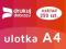 ULOTKI A4 300g 250 szt + WYSYŁKA GRATIS