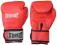 Rękawice bokserskie EVERFIGHT 10oz  FIRE