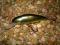 WOBLER SALMO PERCH  - 8cm/12g - OKAZJA !
