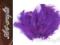 OZDOBNE PIÓRA, PIÓRKA STRUSIE 12CM-17CM- FIOLETOWE