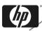 Pamięć 2GB do HP Mini 210 2000 ew 3000 sw GW FV