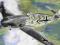 ITALERI 053 Messerschmitt BF109 F24 1/72
