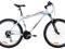 ROWER MTB RALEIGH STORM 2.0 MESKI 18