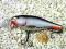 Wobler RAPALA SHALLOW SHAD RAP SILVER 7cm/7g