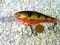 Wobler RAPALA SHAD RAP SHAD PERCH 30 YEARS 7cm/8g