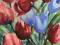 Akwarela 13 x 11 cm tulipany  Sabina Salamon