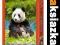 Puzzle 500 Panda CASTORLAND