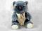 KOALA MASKOTKA PLUSZAK 16 CM