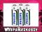 10x AA R6 1.5V BATERIE PHILIPS LONGLIFE