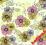 Serwetki do decoupage-2szt-KWIATY- NR 1