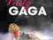 Kalendarz Ścienny 2014 Lady Gaga nowy warszawa