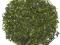 SENCHA ZIELONA HERBATA 100g  - NaSushi_pl