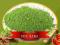HERBATA MATCHA SPROSZKOWANA GREEN 20GRAM KERA 7T