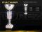 PUCHAR PUCHARY 24 cm TROFEA GRAWER GRATIS 8220C