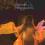 CD- WILLIAM ORBIT- HELLO WAVEFORMS (NOWA W FOLII)