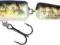 WOBLER SALMO FANATIC 7cm/5g - REAL GOBIO !