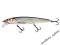 Wobler SALMO WHACKY 12F RB  12cm/10gr