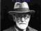Zygmunt Freud Stephen Wilson nowa +GRATIS Wawa