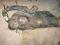 PEUGEOT 206 PLUS + BAK ZBIORNIK PALIWA BENZYNOWY