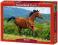 Puzzle Castorland 1000 Brązowy koń C-102396