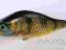 WOBLER  SZCZUPAKOWY JERK - MEGA HIT Wyprzedaż !