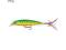 RAPALA X-RAP XTREME ACTION SHLASHBAIT XR-08 FTU