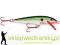 Wobler Rapala CountDown 5cm-S/5g, Kolor: BOF