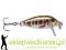 Wobler Rapala CountDown 3cm-S/4g, Kolor: BVA