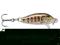 Wobler Rapala CountDown 5cm-S/5g, Kolor: GJTR