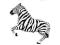 Balon foliowy ZEBRA party urodziny 61 cm