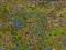 KONTO SETTLERS = SŁONECZNY GRÓD 50LVL