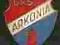 Arkonia Szczecin -  emalia